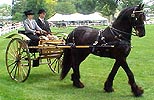 COLUMBUS CARRIAGE CLASSIC each June in Columbus.