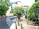 RIVER WALKS!  Walk...Shop...Sit...Eat...Enjoy a different view of Columbia County rivers!  Visit downtown the LODI RIVER WALK, home of Susie the Duck, the DELLS RIVER WALK and other scenic, relaxing and historic river walk-abouts.