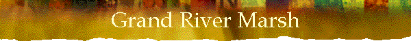 Grand River Marsh